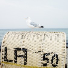 nordsee