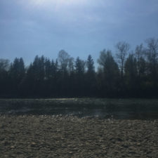 landschaft in der sonne – die isar mit ufer