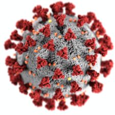 Corona Virus