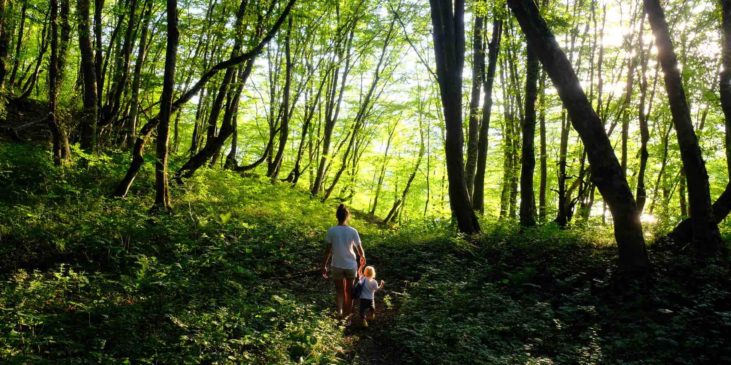 die natur im frühling mit kindern entdecken