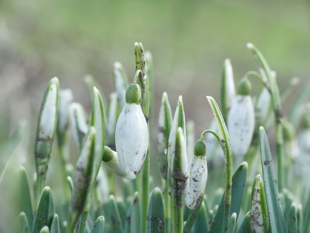 frühling mit kindern