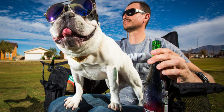 Ein junger Vater feiert mit alkohol-freiem Sangria und einem Hund auf seinem Schoss die Geburt seines Kindes