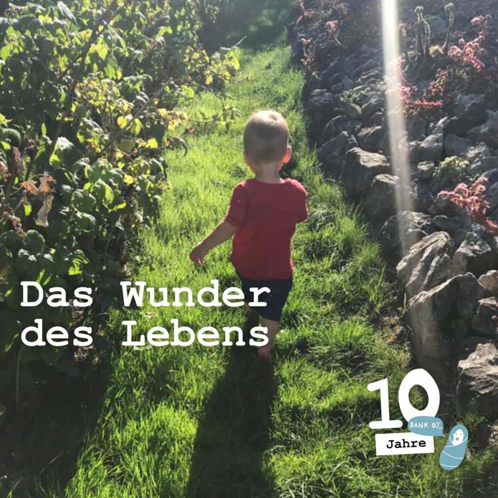 Sarahs Sohn rennt durch den Garten - Schwanger-Null-Promille-10- Jahre-Jubilaeum-Rueckblick-Das-Wunder-des-Lebens