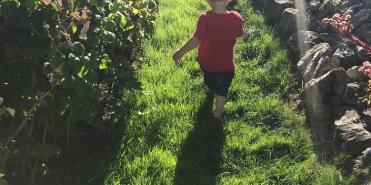 Sandras Sohn käuft in der Sonne durch den Garten nach einer glücklichen Schwangerschaft ohne Alkohol