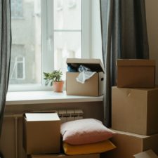 Vor einem Fenster stehen diverse Umzugskisten in unterschiedlichen Größen, auf denen teilweise Kissen aufgestapelt liegen. Auf dem Fensterbrett steht neben einer Topfpflanze eine kleinere Kiste mit geöffnetem Deckel. Aus dem Deckel hängen Kleidungsstücke heraus.