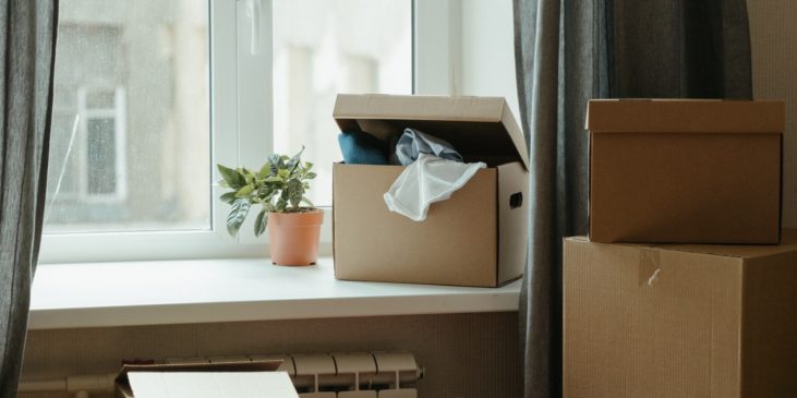 Vor einem Fenster stehen diverse Umzugskisten in unterschiedlichen Größen, auf denen teilweise Kissen aufgestapelt liegen. Auf dem Fensterbrett steht neben einer Topfpflanze eine kleinere Kiste mit geöffnetem Deckel. Aus dem Deckel hängen Kleidungsstücke heraus.